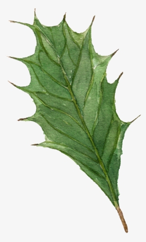 Hand Painted Watercolor Leaves Free Illustration - Watercolor Painting
