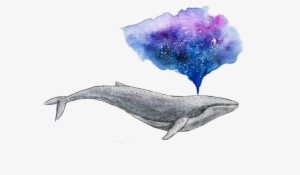 Watercolor Painting Drawing Whale Art - Watercolour Whale