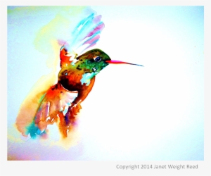 "twilight Flight" Hummingbird Print By Janet Weight
