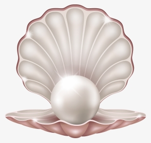 Free Png Beautiful Clam With Pearl Png Images Transparent - Pearl Png ...