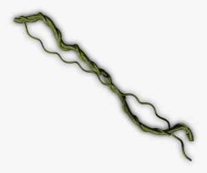 Junglevine-b