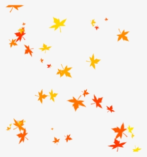 Fall Autumn Png Free Hd Fall Autumn Transparent Image Pngkit