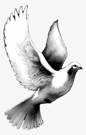 35 Realistic Dove Tattoos Ideas - Dove Tattoo Designs