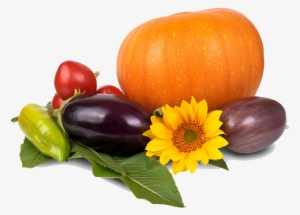 Thanksgiving Pumpkin Png Image - Lds Quote Food Storige