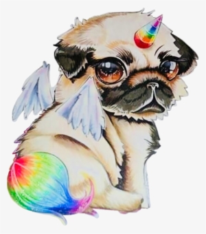 Unidog Rainbow Anime Chibi Kawaii @buntereihe Freetoedi - Draw A Unicorn Dog
