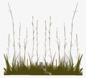 Description Backgrounds 1423862825 Prairie Intro - Sweet Grass