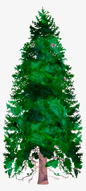 Register - Christmas Tree