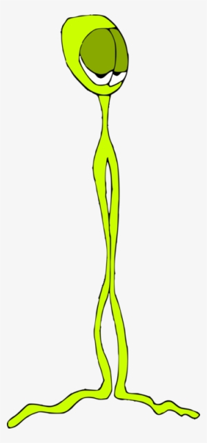 Green Line Art Plant Stem - Clip Art