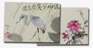 Thank-cards - Bougainvillea