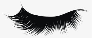 Png Transparent Download Eyelashes Clipart Png - Eyelash