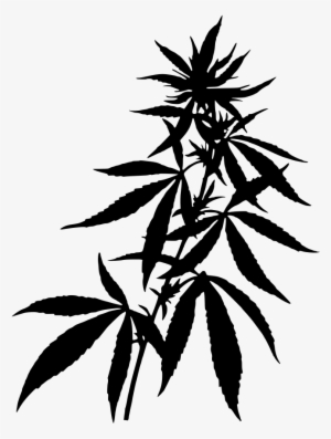 Download Png - Weed Plant Silhouette Png