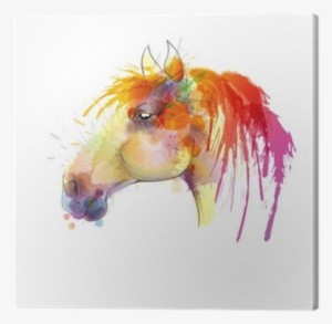 Horse Head Watercolor Painting Canvas Print • Pixers® - Fondo De Caballo De Colores