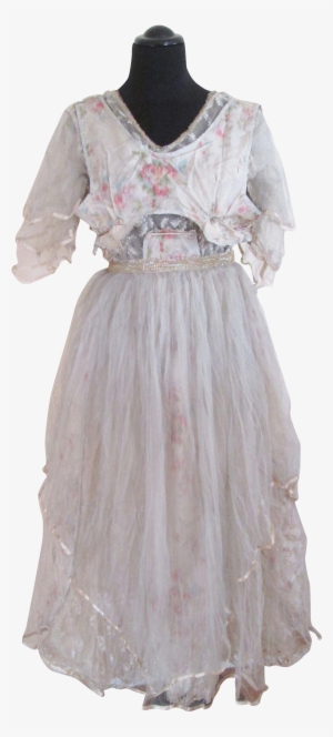 Antique French Watercolor Silk - Gown