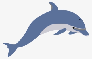 How To Set Use Another Dolphin Clipart