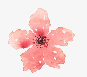 Of A Friends Wedding In The Summer Of - Hibiscus