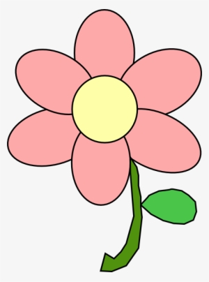 Pink Flower