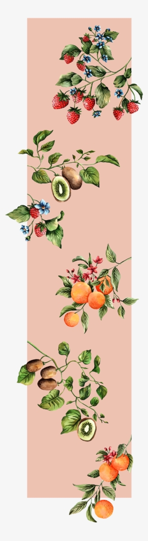 Paula Hasenack-fruits - Fruit