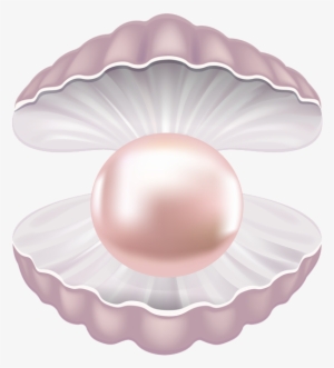 Clip Art Library Pearl Shell Transparent Clip Art Image - Shell Pearl Clipart Png