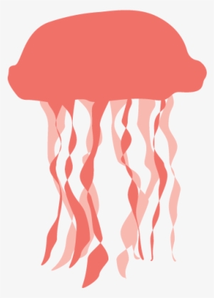 Jellyfish Png Transparent - Jellyfish