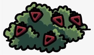 O'berry Bush - Shrub