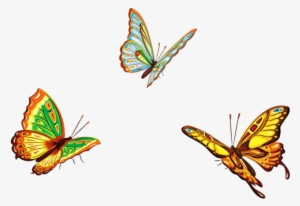 0, - Butterflies Png