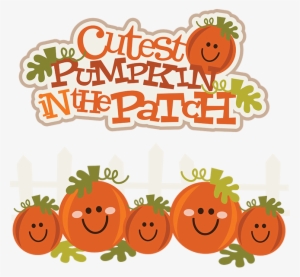 Cutest Pumpkin In The Patch Svg Pumpkin Clipart Cute - Cute Pumpkin Clip Art Free