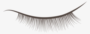 Brush Vector Eyelash - Eyelash Extensions