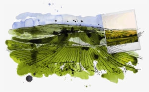 Urville And Its Region - Grass