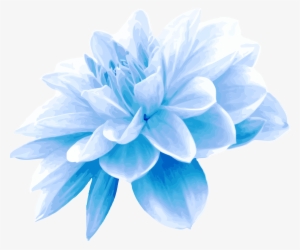 Collection Of Free Flower Transpa Blue On Ubisafe - Light Blue Flower Png
