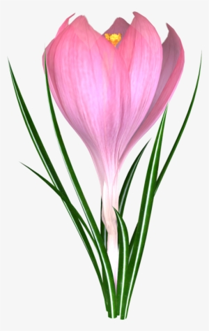 Фотки Potted Flowers, Flower Pots, Art Flowers, Flower - Flower