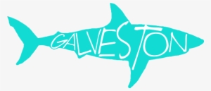 Shark Galveston Freetoedit - Squaliformes