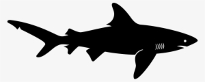 Shark Clipart Shape - Shark Silhouette Vector
