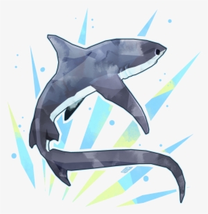 Thresher Shark By Stormful On Deviantart - Cute Thresher Shark Drawing