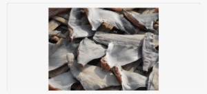 Dried Shark Fin - Fishery