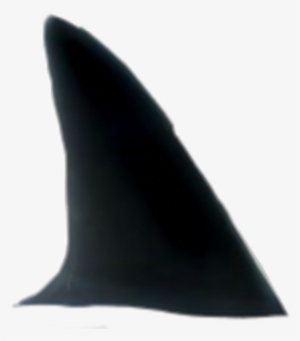 Whale