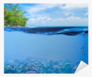 Underwater Tropical Sea With Water Surface Background - Cad Lights 18 Media Basket