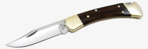Buck 110 Folding Hunter - Buck Knives