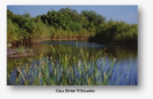 Surface Water/watershed Protection Image - Drainage Basin