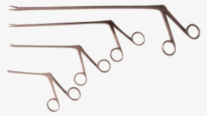 Aligator Forceps 5 1/2" - Hartmann Alligator Forceps