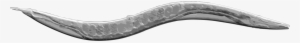A Cell Atlas Of Worm - Elegans Worm