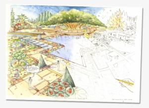 Chip Sullivan Process
