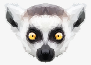Lemur Art