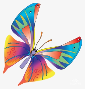 Butterfly Vector - Butterfly Vector Png