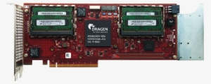 Dragen Board With Chip And Memory - Photograph