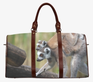 Ring-tailed Lemur Catta Katta Mother And Baby Waterproof - Small Bags For Girls For Travel