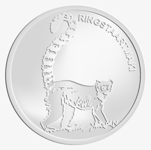 Destelbergen The Harry Malter Family Park Ring-tailed - Cartoon