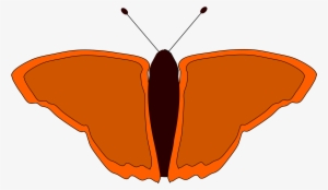 Free Vector Orange Butterfly - การ์ตูน ผีเสื้อ ภาพ โปร่งใส