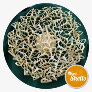 Lace Pearl Troca Dish - Seashell