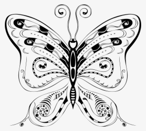Clifford Yang Free, Resolution > Pix - Butterfly New Design Vector