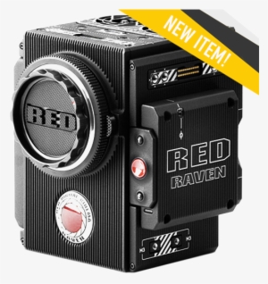 Redraven - Red 710-0223 Red Raven Brain